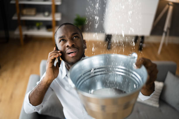 Best Flood restoration services  in Abbeville, AL