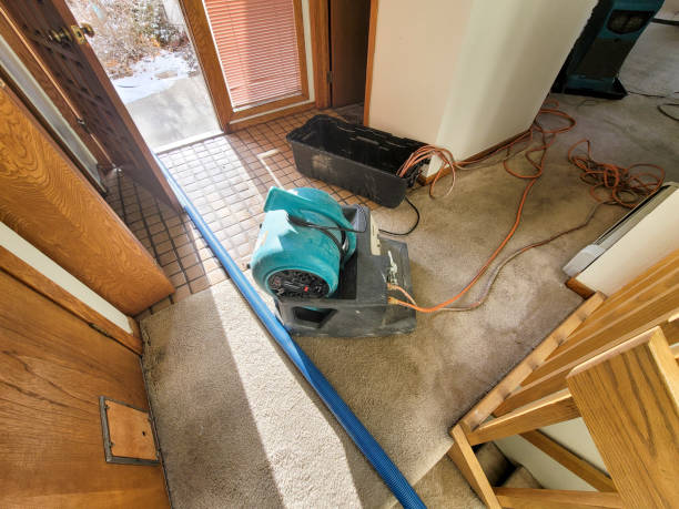 Best Residential water damage restoration  in Abbeville, AL