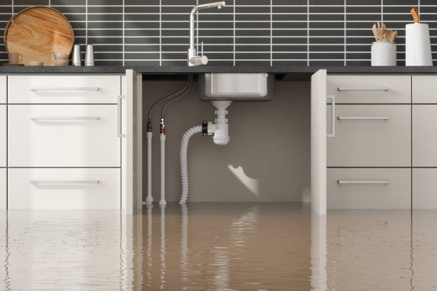Best Carpet water damage restoration  in Abbeville, AL